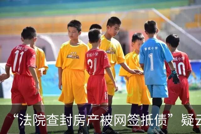 “法院查封房产被网签抵债”疑云：住建委多人曾称不知涉案房屋已抵押，开发商获刑