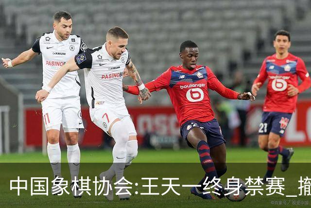 中国象棋协会:王天一终身禁赛 撤销特大等称号