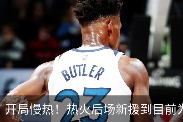 开局慢热！热火后场新援到目前为止的情况令人有些担心？